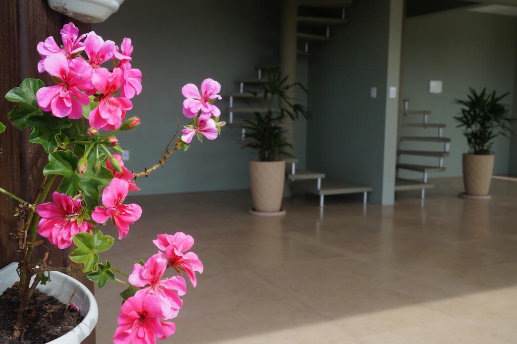 Pdr Suites Praia do Rosa Eksteriør bilde